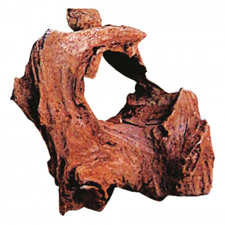 Tronco natural DRIFTWOOD 10-18CM