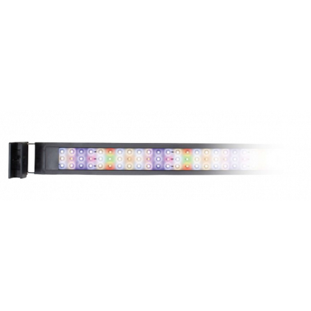 Pantalla AQUALIGHT TOUCH Tropical