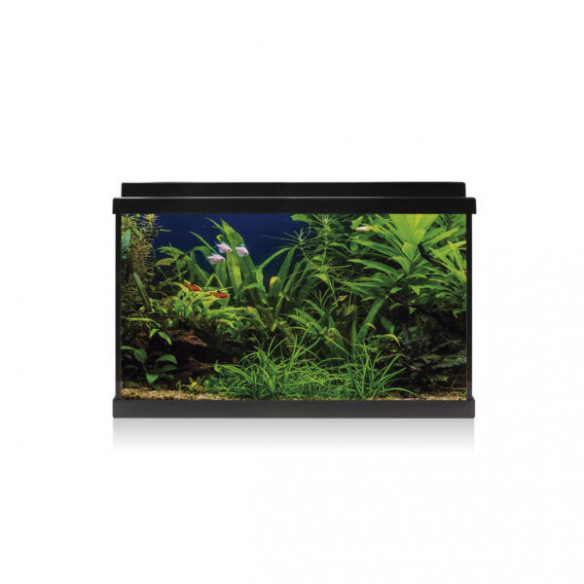 Acuario Kit AQUA LED 64 L