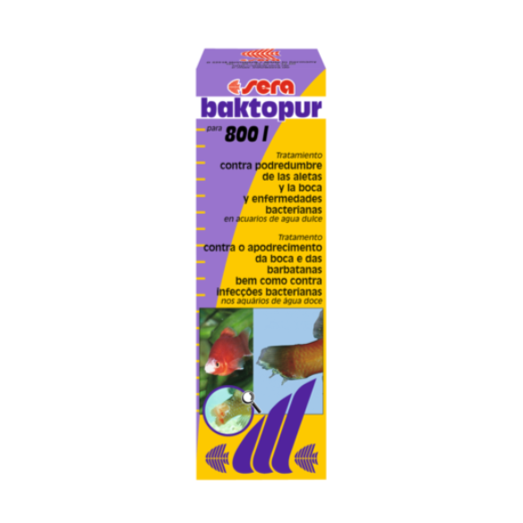 sera baktopur