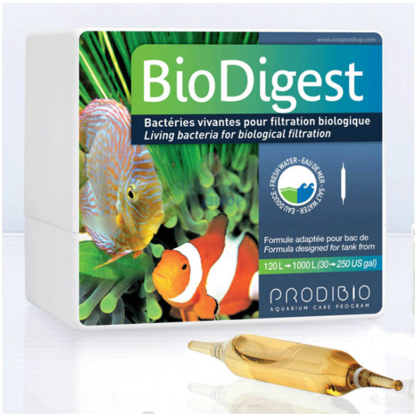 Bacterias Biodigest