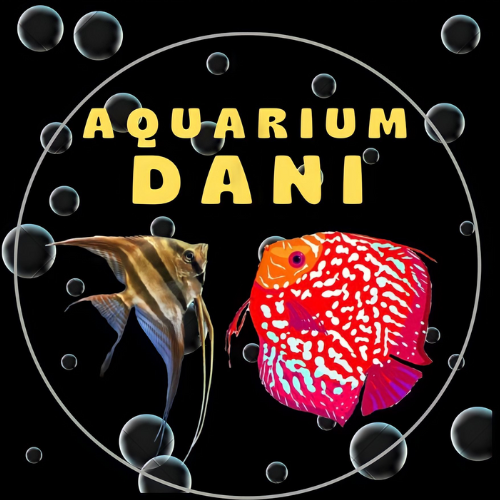 Aquarium Dani